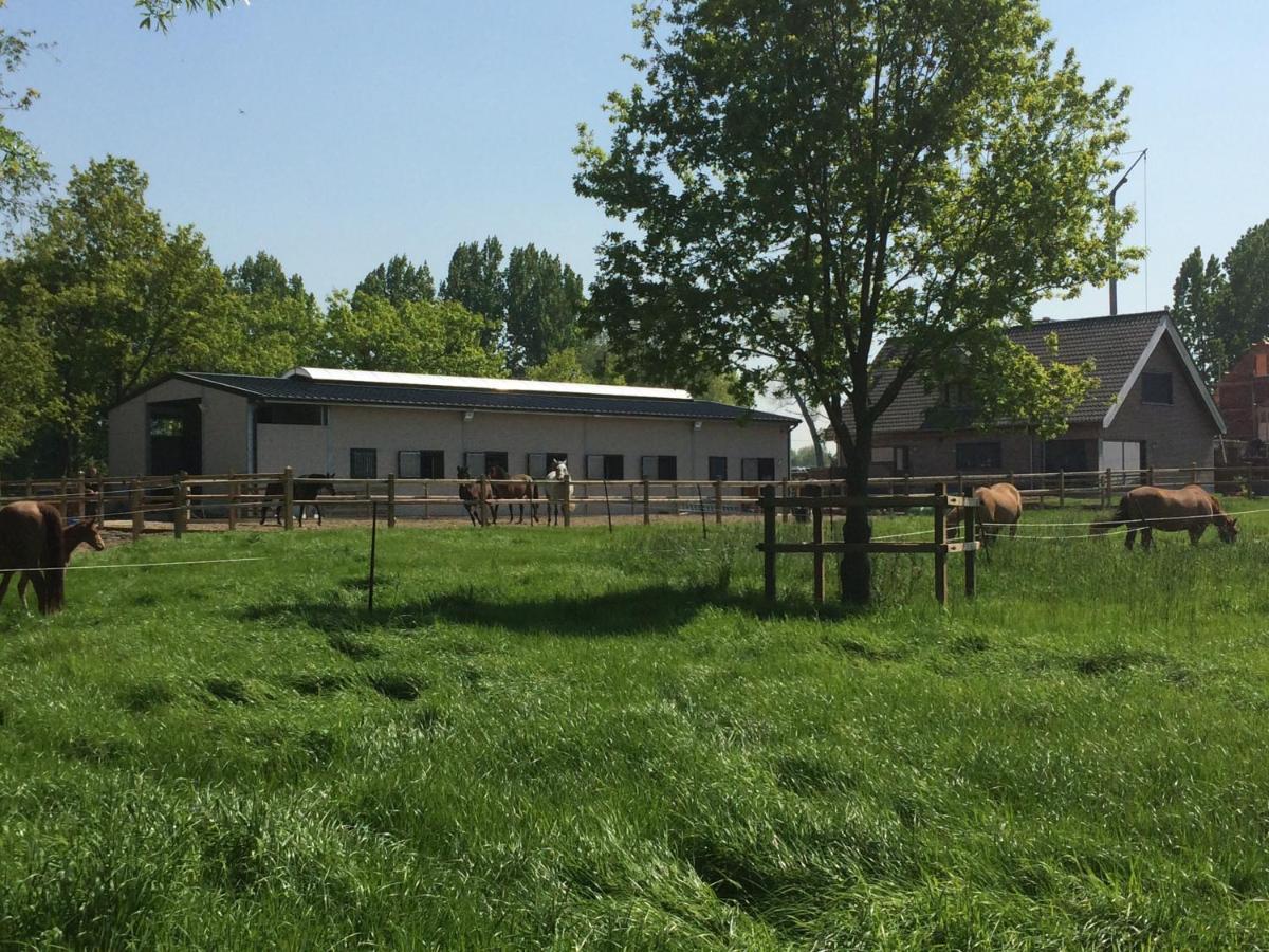 Vakantiehuisje 'T Morehof Oosterzele Eksteriør bilde